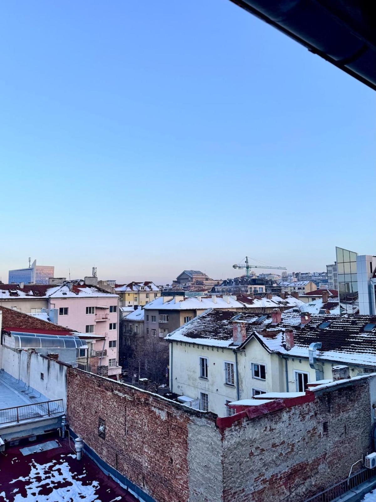 Cozy * Sofia